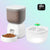 Automatic Pet Feeder & Water Fountain Combo Set