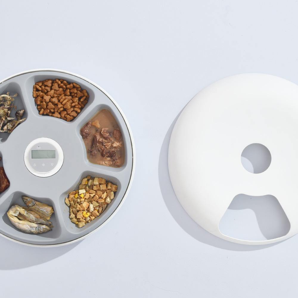 F6 Donuts 6-Meal Automatic Pet Feeder - IYPET